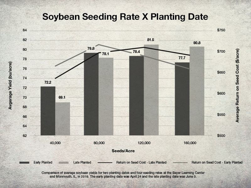 Graph of Soybean Seedling Rate X Planting Date